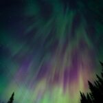 Астропланетарий Levenhuk как инструмент для изучения Вселенной image_861.jpg